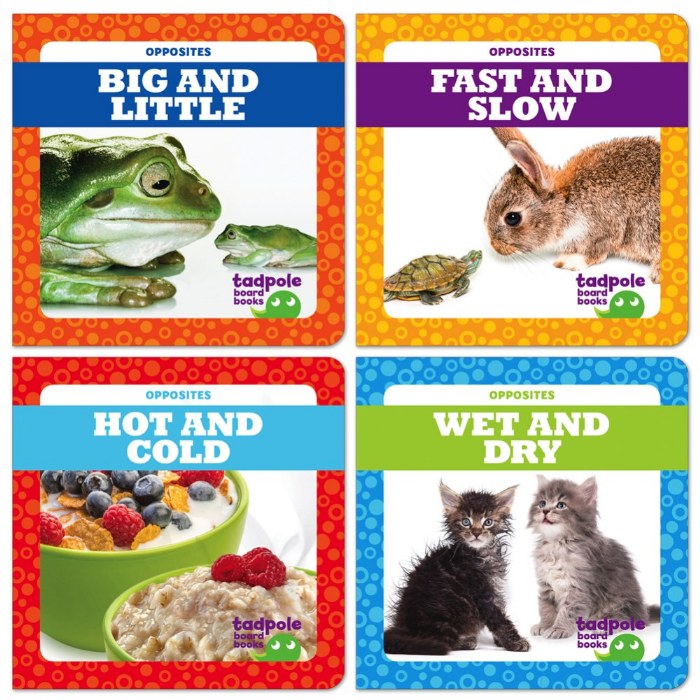 Primary Image of Opposites Board Books - Set of 4