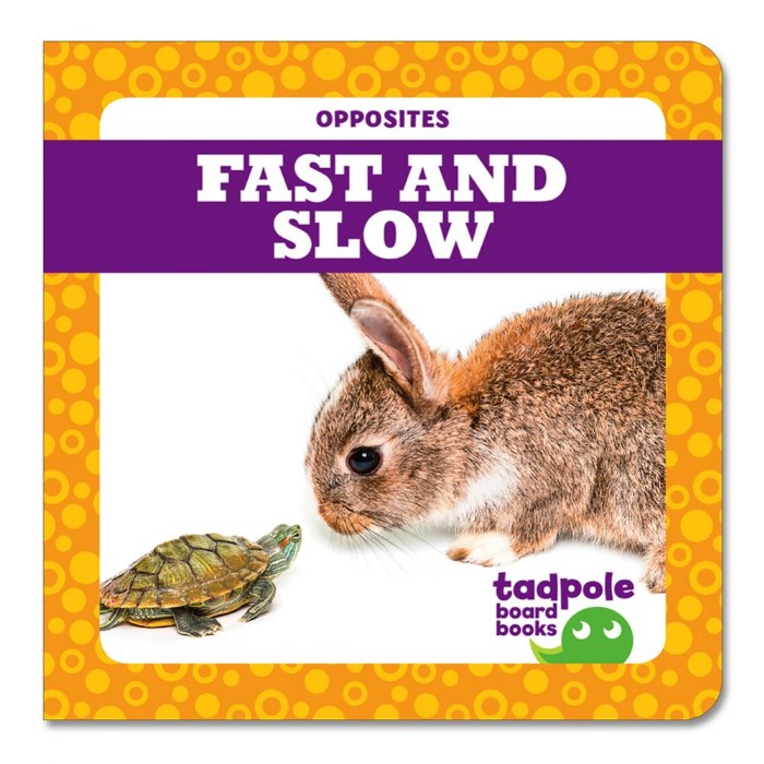 Alternate Image #1 of Opposites Board Books - Set of 4