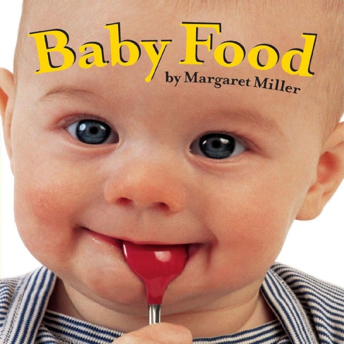 Primary Image of Baby Food - Board Book