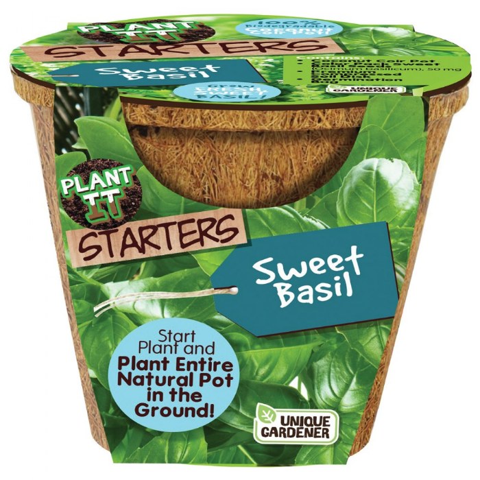 Alternate Image #1 of Plant-It Starters Vegetables and Herb - Set of 3