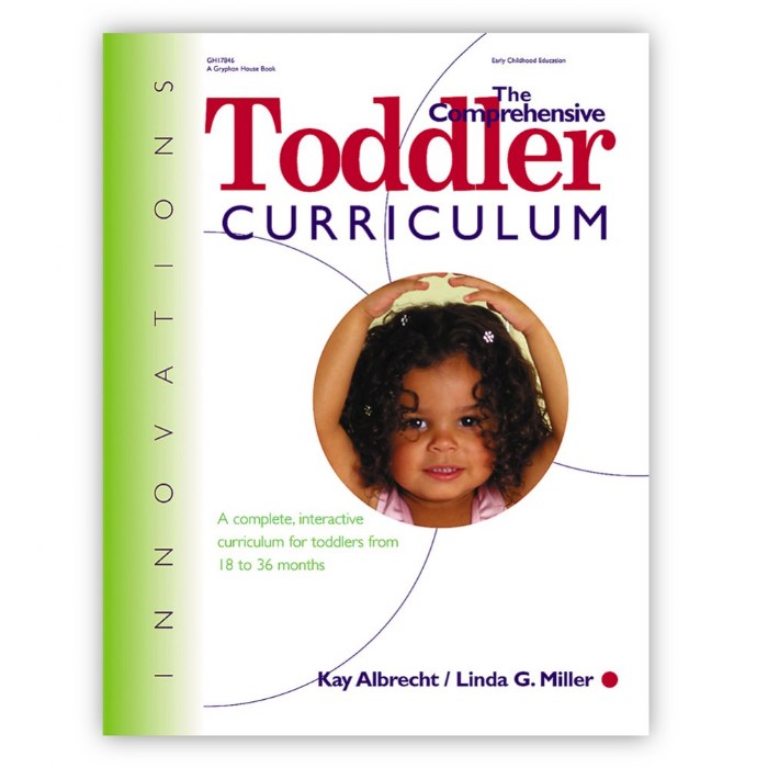 Primary Image of Innovations: The Comprehensive Toddler Curriculum - Paperback