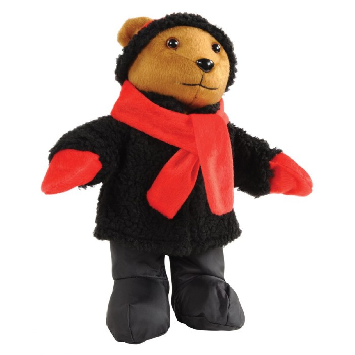 Alternate Image #1 of Weather Bear Set With Clothes