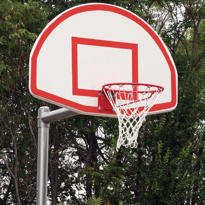 Primary Image of Basketball Goal and Pole