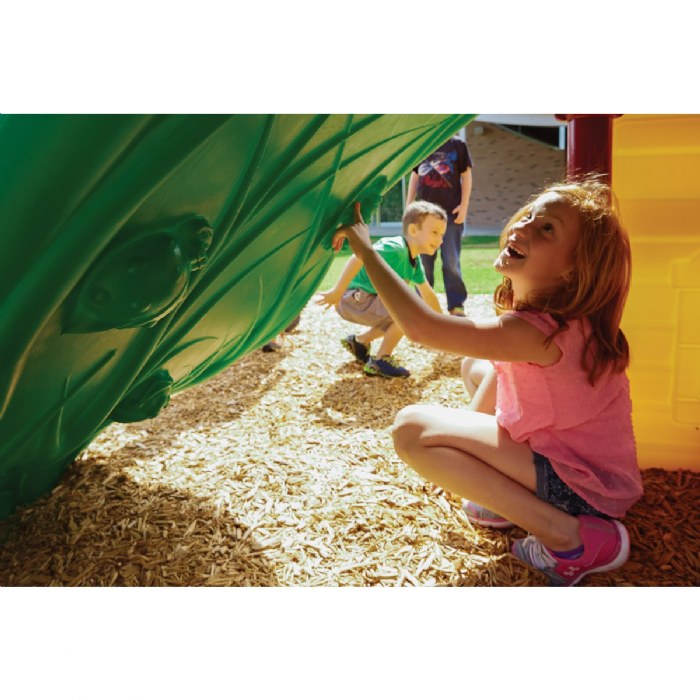 Alternate Image #1 of South Fork - Primary Colors