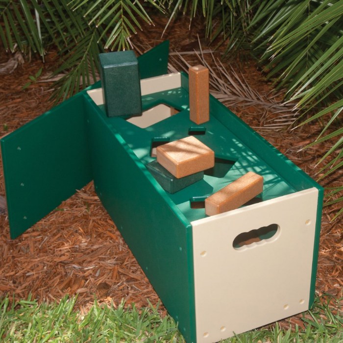 Alternate Image #1 of Block Box Blocks and Sorter - Set of 50