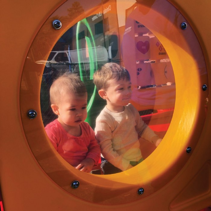 Alternate Image #1 of Dogwood - Ground Spikes