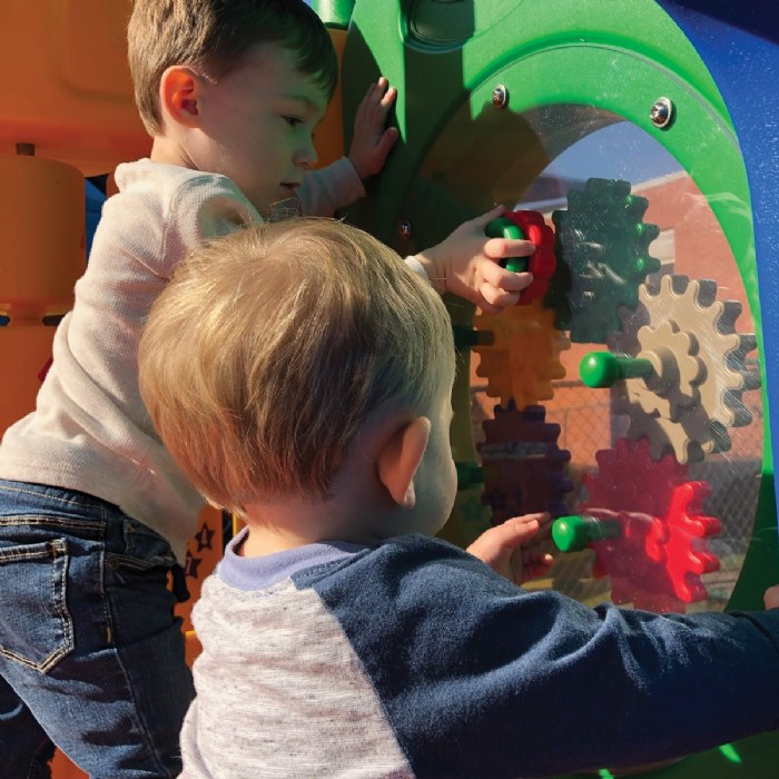 Alternate Image #1 of Dogwood - Ground Spikes