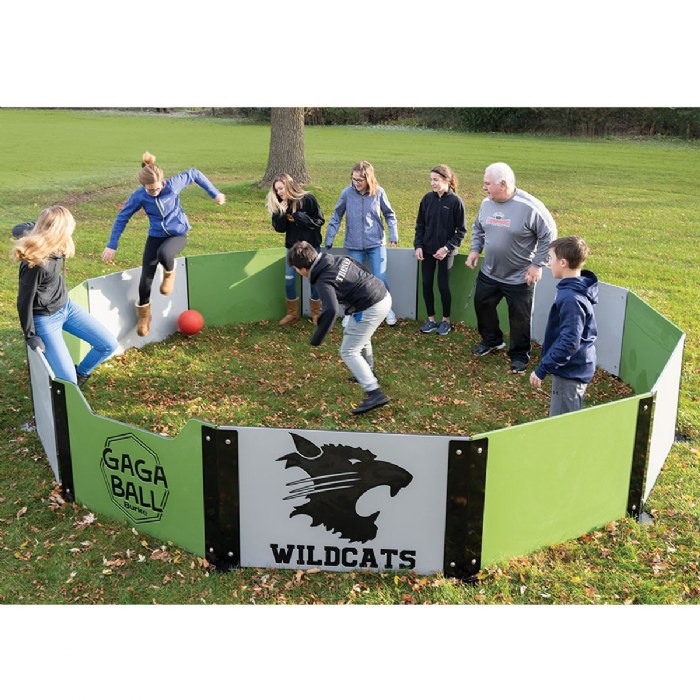 Primary Image of GaGa Ball Custom Kit