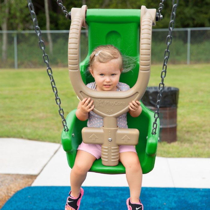 Primary Image of Inclusive Swing