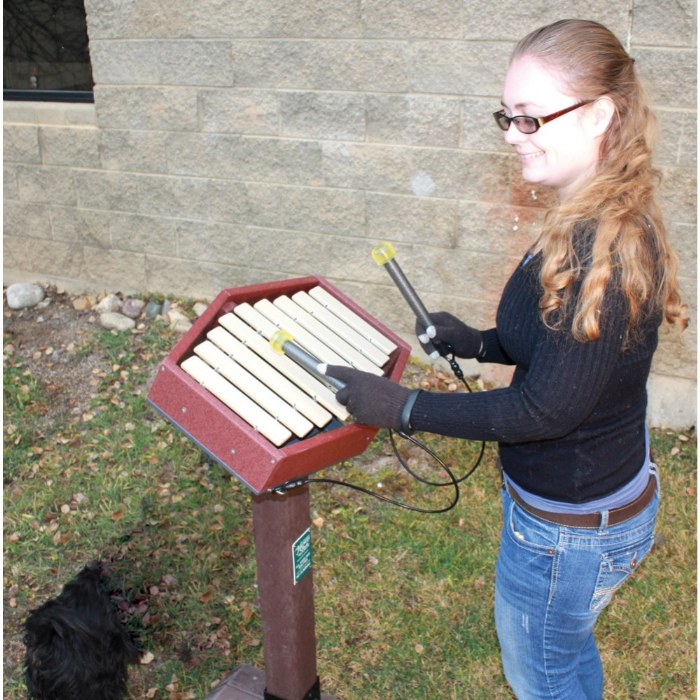 Alternate Image #1 of Rhythm - In-Ground Mount