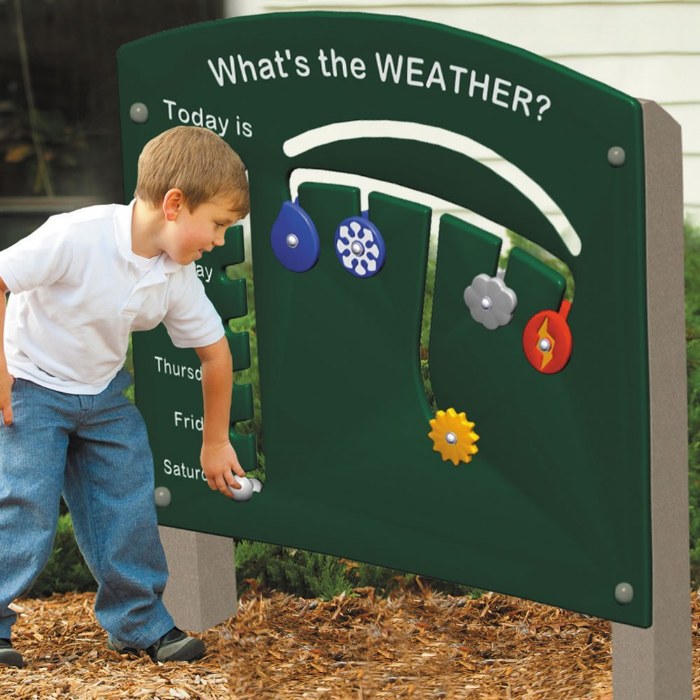 Primary Image of Weather Panel