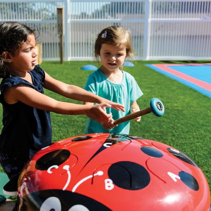 Alternate Image #1 of Lady Bug Drum