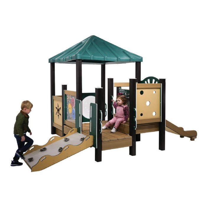 Alternate Image #1 of Angelfish