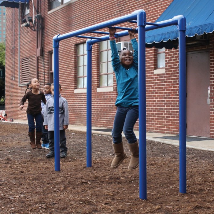 Primary Image of Horizontal Ladders
