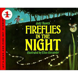 Fireflies in the Night - Paperback