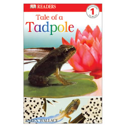 Image of Tale Of A Tadpole - Paperback