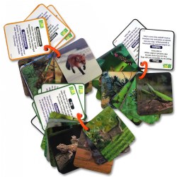 Animal Planet 3D Creatures Flash Cards