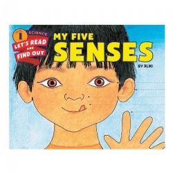 Image of My Five Senses - Big Book