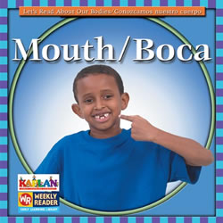 Kaplan Mouth Big Book (level D)