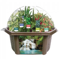 Sensory Eco-Biosphere Plant Dome with 5 Different Plant Seeds