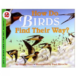 How Do Birds Find Their Way