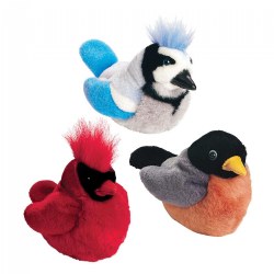 Backyard Birds - Set of 3