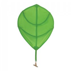 Image of Leaf Canopy