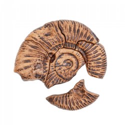 Magnetic Fossil 3D Puzzle - Ammonite - 6 Pieces