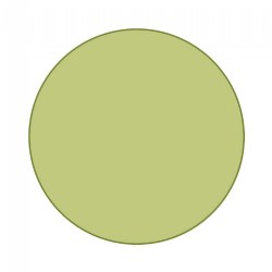 Image of Sense of Place Circle Carpet  - Light Green - 6' Circle