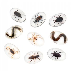 Image of Specimen Stones: Creepy Crawlers - 9 Stones