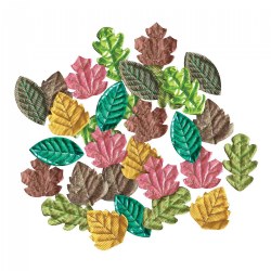 Image of Sensory Leaves - 30 Pieces