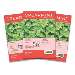 Spearmint Seeds 3-Pack