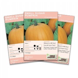 Image of Small Sugar Pumpkin Seeds 3-Pack