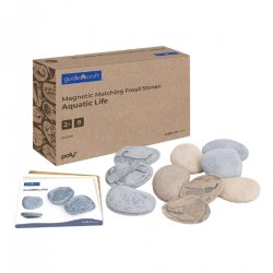 Image of Magnetic Matching Aquatic Life Fossil Stones - Set of 8