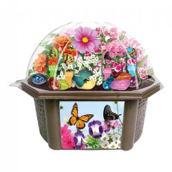 Image of Butterfly Garden Biosphere