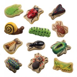 Image of Sensory Play Stones: Bugs - 12 Pieces