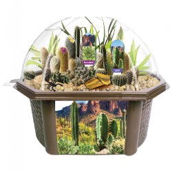 Image of Desert Dome