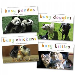 Busy Animals Board Books - Set of 4