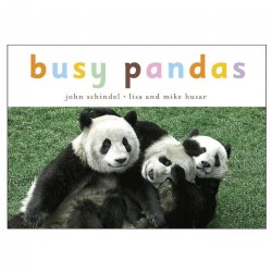 Image of Busy Pandas - Board Book