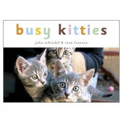 Busy Kitties - Board Book