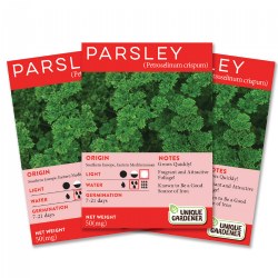 Parsley Seeds 3-Pack