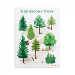Coniferous Tree Giclee Classroom Wall Print