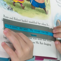 Reading Bright Colored Highlight Strips - Set of 30