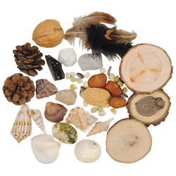 Land & Sea Nature Loose Parts Collection for Sensory Exploration