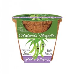 Organic Green Bean