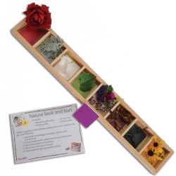 Nature Seek and Sort - Wooden Sorting Tray
