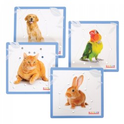 Friendly House Pet Real Images Animal Lacing Boards for Fine Motor Skills Practice