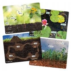 Realistic Animal and Plant Life Cycle Floor Puzzles