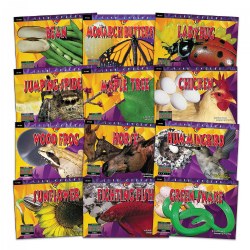 Life Cycle Books - Set of 12