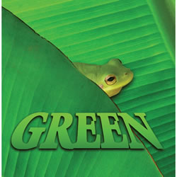 Green - Board Book